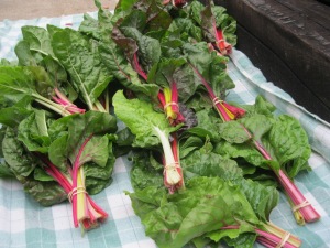 Chard bunches
