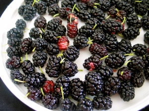 mulberries-on-a-plate